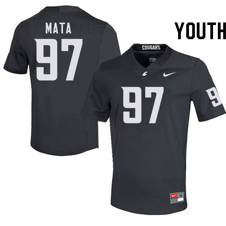 Youth #97 Aden Mata Washington State Cougars College Football Jerseys Stitched-Charcoal